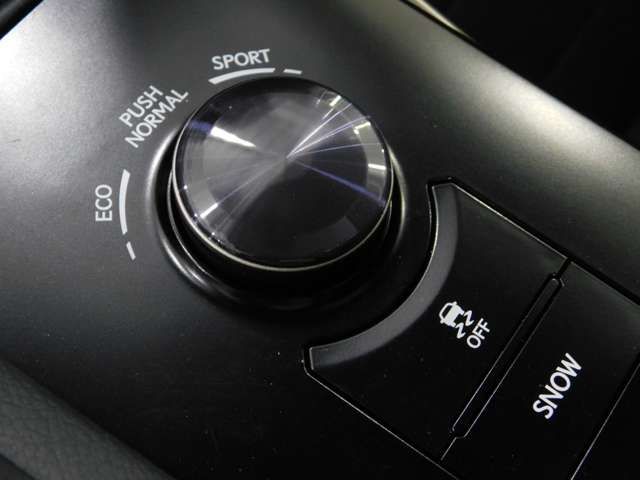 LEXUS IS250