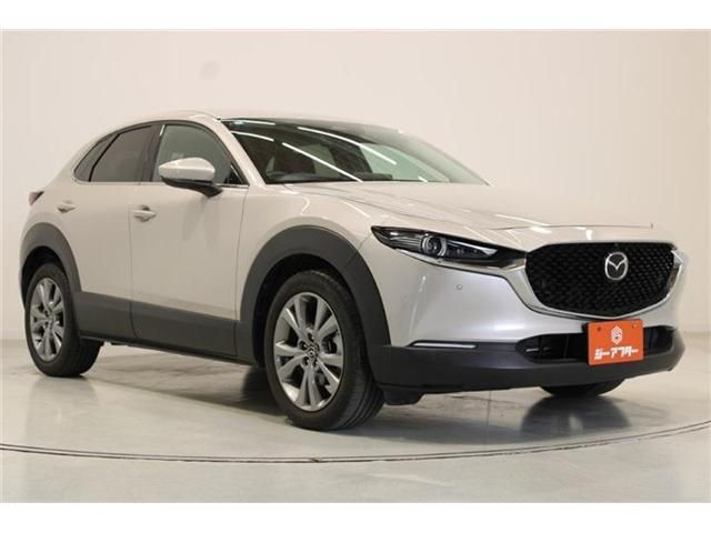 CX-30