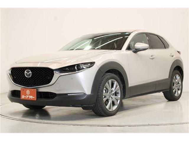 CX-30