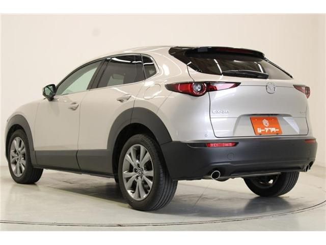 CX-30