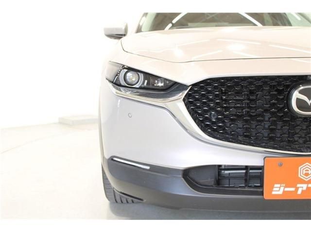 CX-30