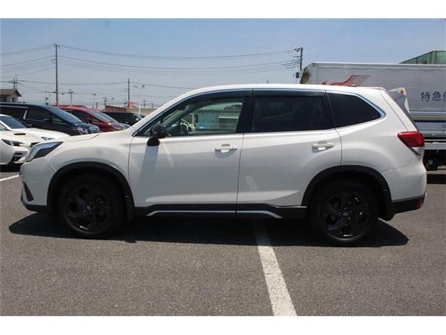 FORESTER