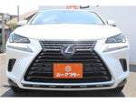 LEXUS NX300h