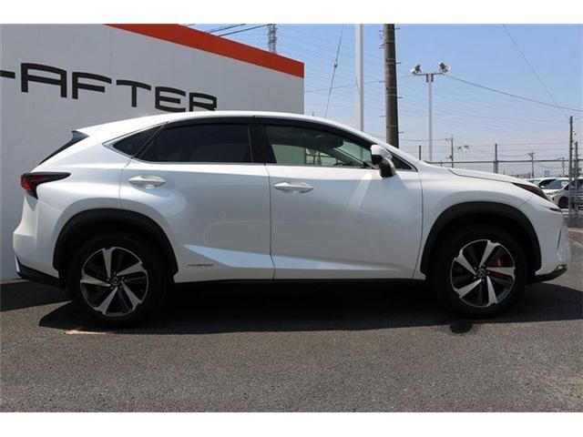 LEXUS NX300h