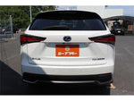 LEXUS NX300h