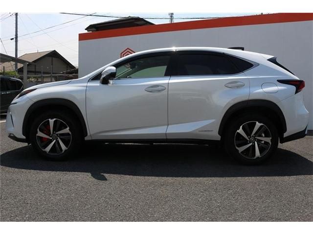 LEXUS NX300h