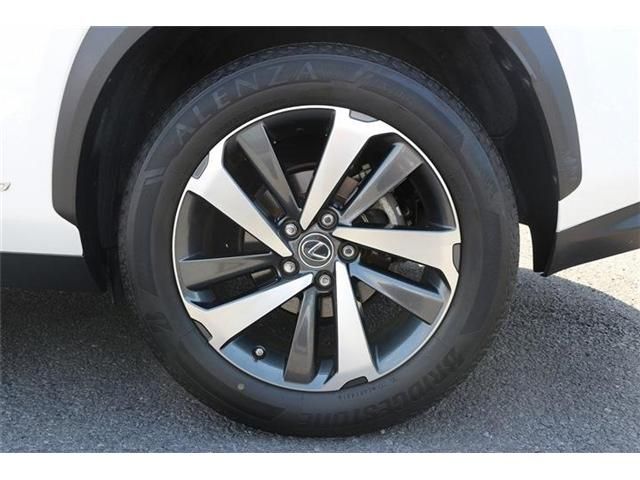 LEXUS NX300h