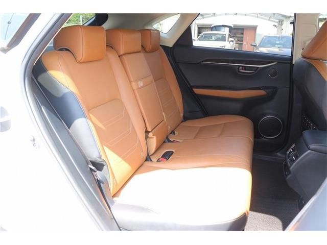 LEXUS NX300h