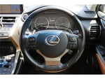 LEXUS NX300h