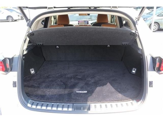 LEXUS NX300h