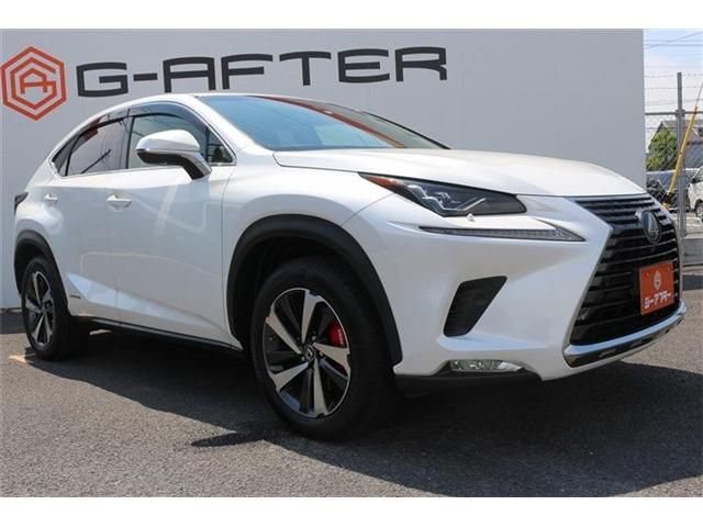 LEXUS NX300h