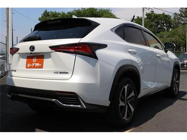 LEXUS NX300h
