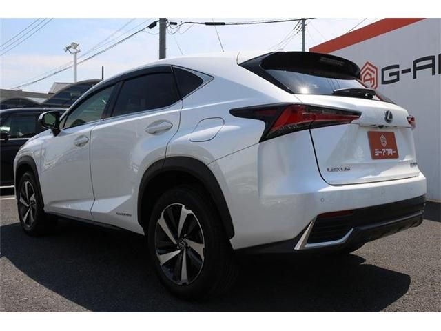 LEXUS NX300h