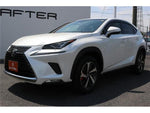 LEXUS NX300h