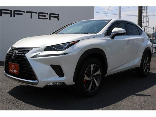 LEXUS NX300h