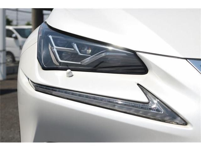 LEXUS NX300h