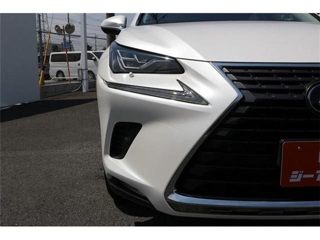 LEXUS NX300h
