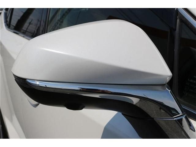 LEXUS NX300h