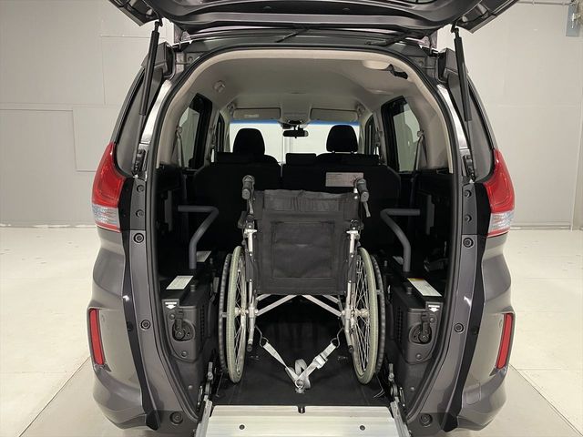 FREED plus HYBRID
