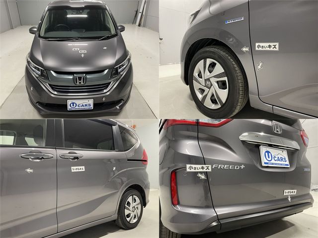 FREED plus HYBRID