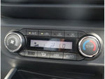 RAIZE HYBRID