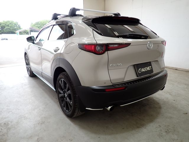 CX-30