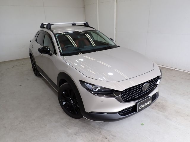 CX-30