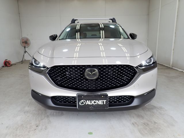 CX-30