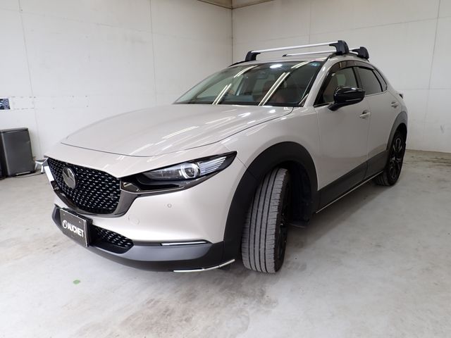 CX-30