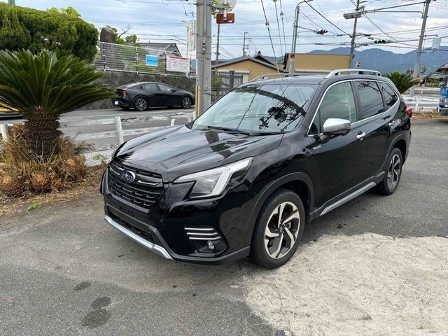 FORESTER