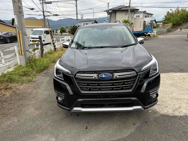 FORESTER