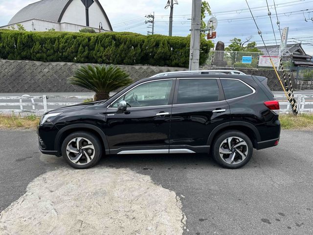 FORESTER