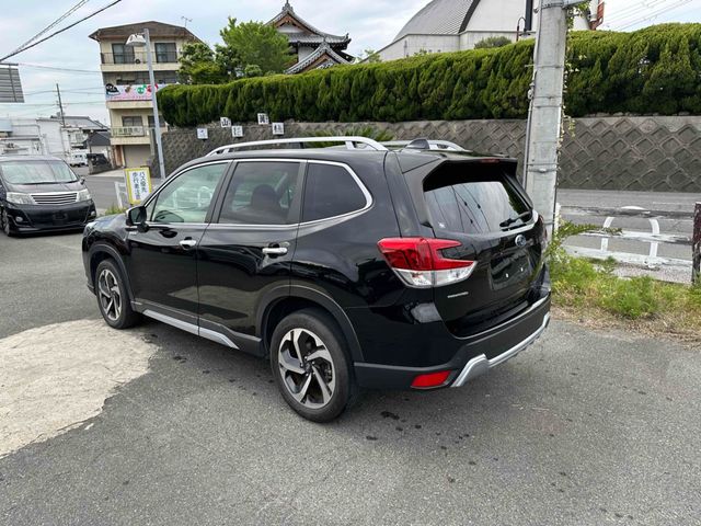 FORESTER
