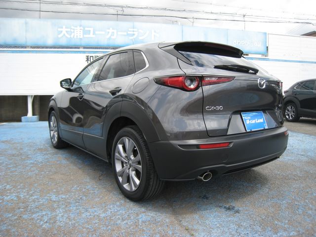 CX-30