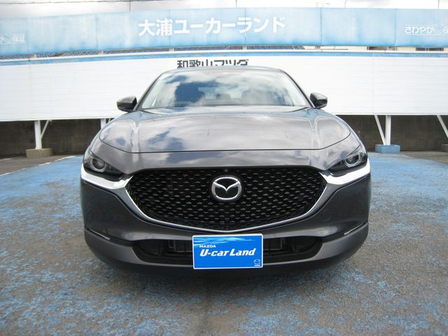 CX-30