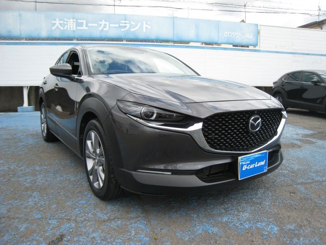 CX-30