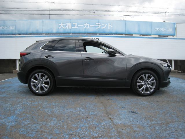 CX-30