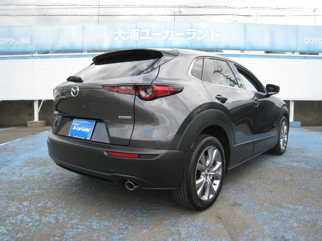 CX-30