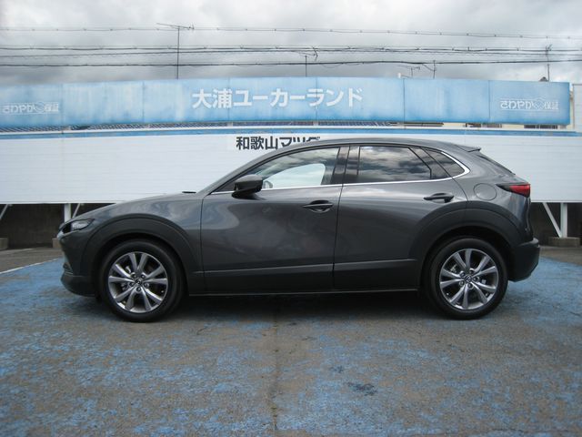 CX-30