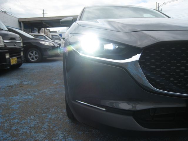 CX-30