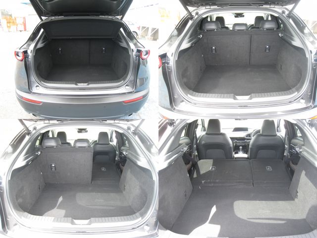 CX-30