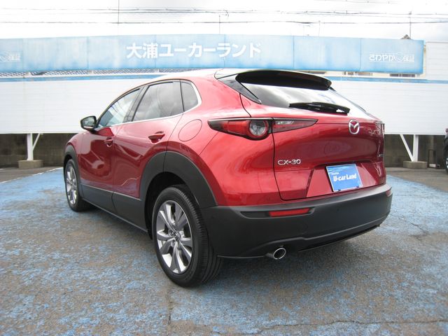 CX-30