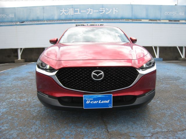 CX-30