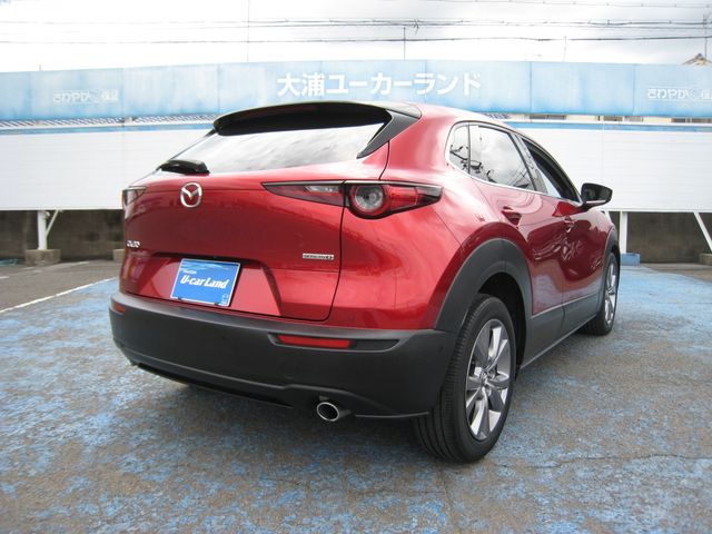 CX-30
