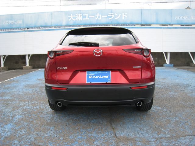 CX-30