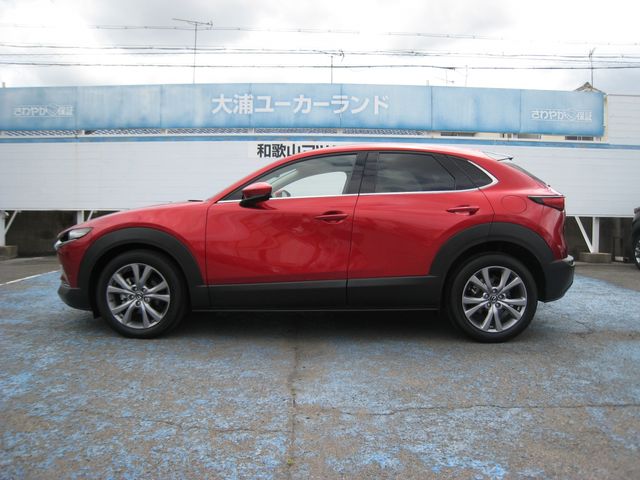 CX-30