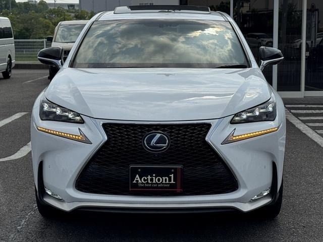 LEXUS NX300h