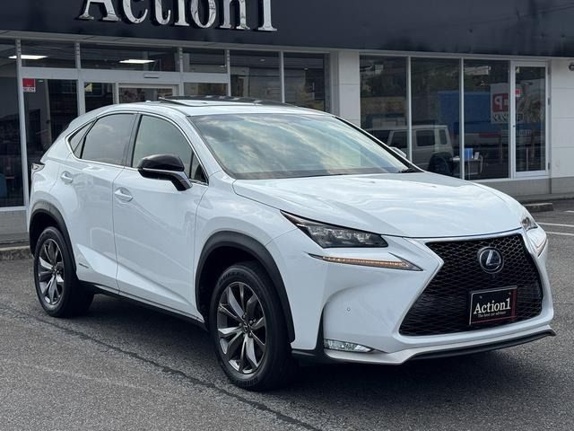 LEXUS NX300h