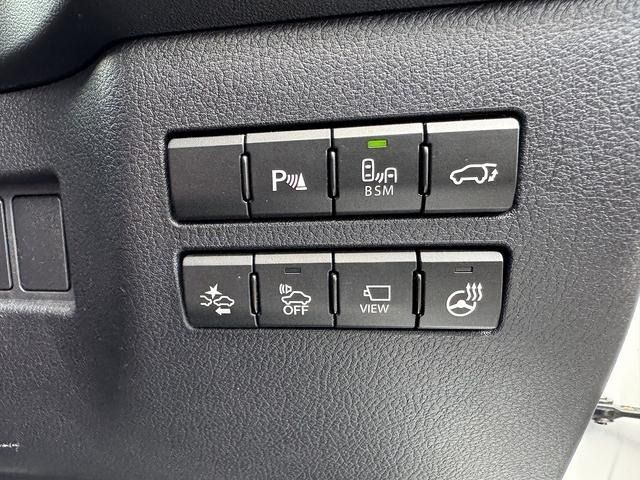 LEXUS NX300h