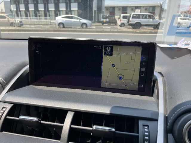LEXUS NX300h AWD